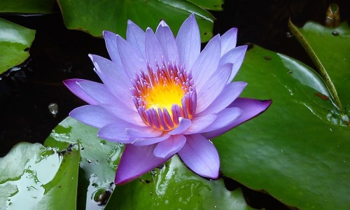 温敷什么意思-温敷对身体的好处、温敷用什么最好 -温敷的功效网